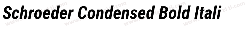 Schroeder Condensed Bold Italic字体转换